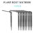 10PCS Root Waterer