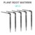 5PCS Root Waterer