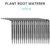 20PCS Root Waterer
