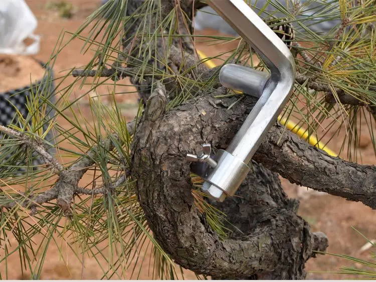 Dobladora de bonsái de acero inoxidable, herramienta de mano para jardín, ramas