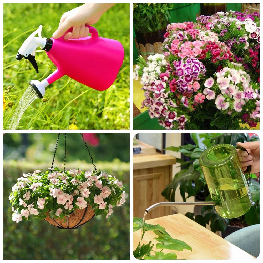 Fertilizante Soluble en agua para flores profesionales embotelladas, 100g, alto fósforo (P), alimentos para plantas, NPK para más flores y frutas
