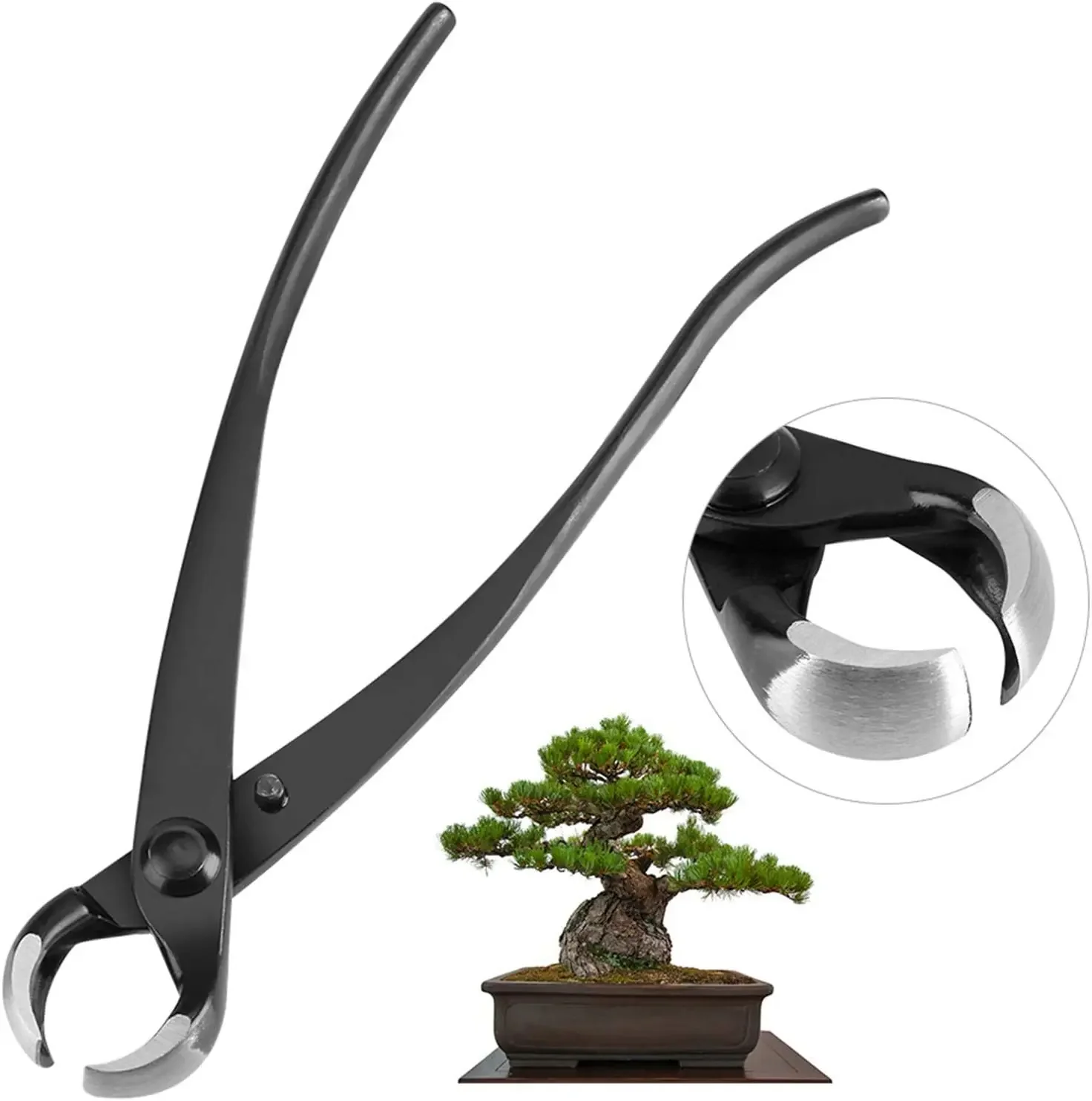 Cortador cóncavo de 210 Mm, herramientas para bonsái de acero al carbono, hecho por la empresa Tianbonsai