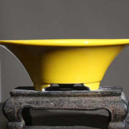 Maceta de bonsái redonda esmaltada Yixing de alta calidad