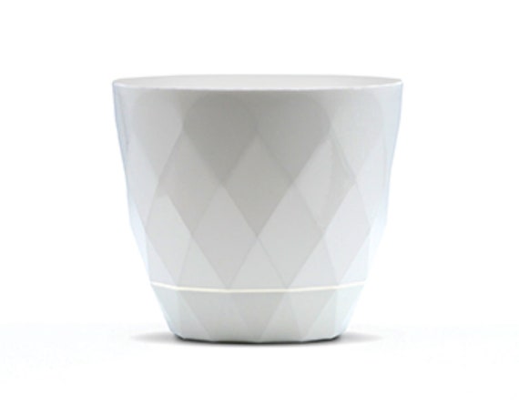 Easy Bonsai Grow Kit – 4 variedades de semillas para cultivar bonsáis fáciles - Imagen 9