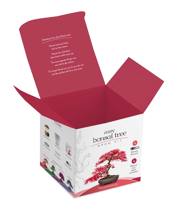 Easy Bonsai Grow Kit – 4 variedades de semillas para cultivar bonsáis fáciles - Imagen 2