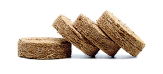 Easy Bonsai Grow Kit – 4 variedades de semillas para cultivar bonsáis fáciles - Imagen 8