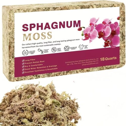 Musgo esfagno comprimido – sustrato natural para bonsái, orquídeas y terrarios