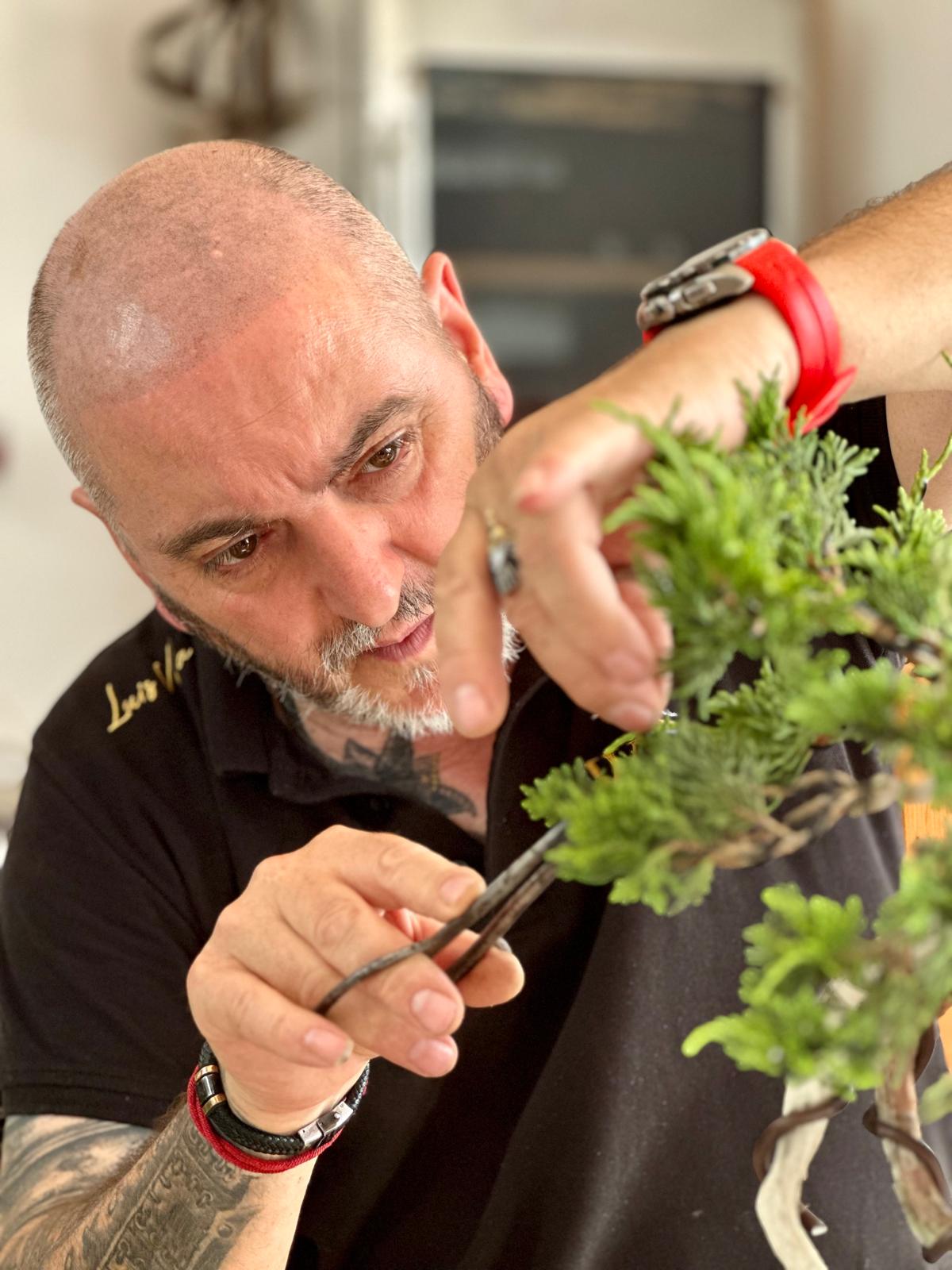 Herramientas de bonsai esenciales para empezar