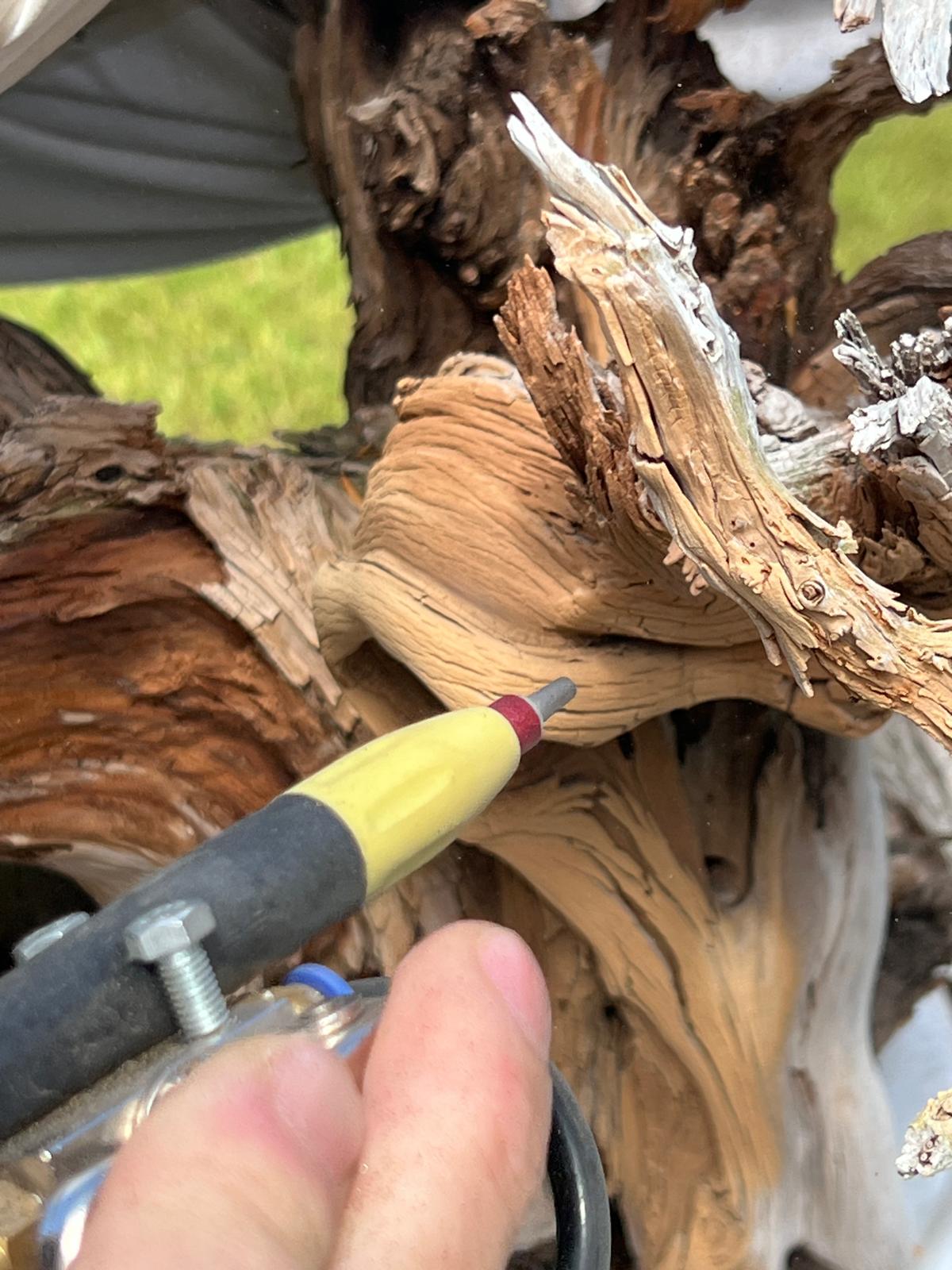 arenado en bonsai para la madera muerta