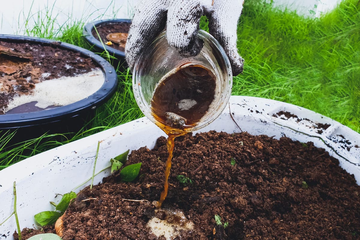 fertilizantes liquidos organicos para cultivo de precision