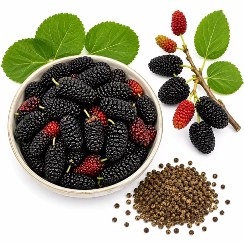 Semillas de Morera Negra (Morus nigra) - Árbol Frutal para Jardín y Huerto